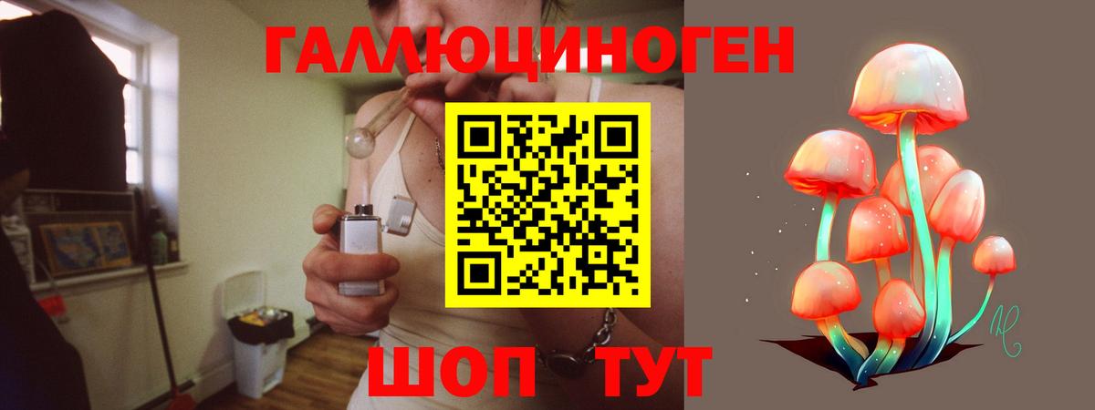 Псилоцибиновые грибы GOLDEN TEACHER Ессентуки